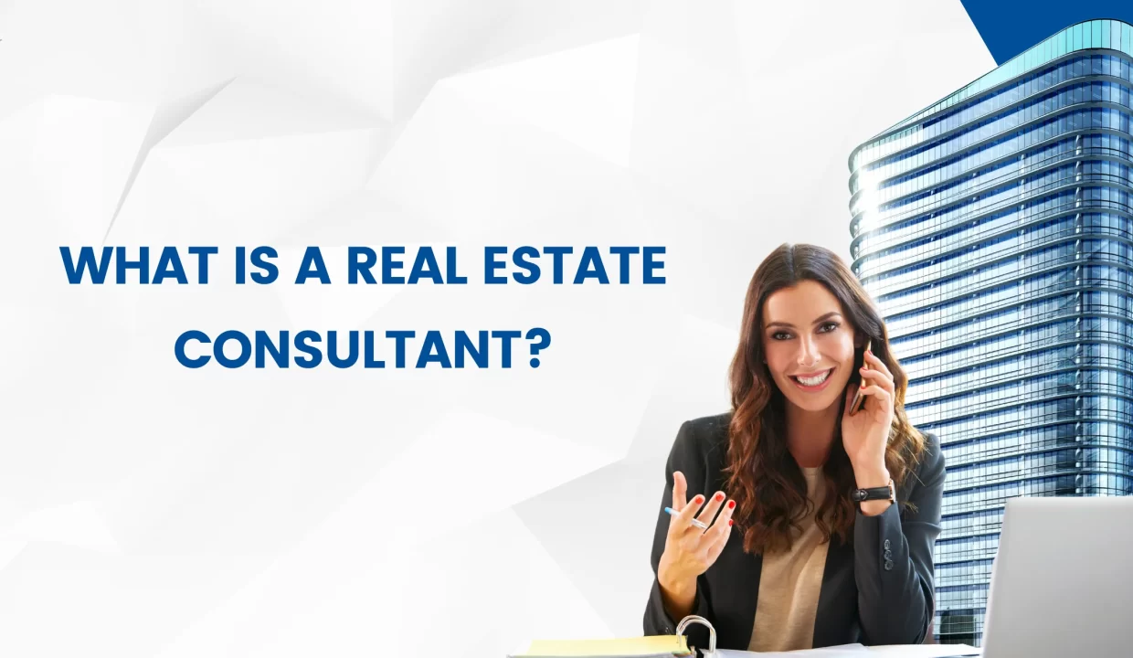 what is real estate consultant